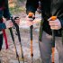 Tramp палки треккинговые Guide TRR-014 (оранжевый)